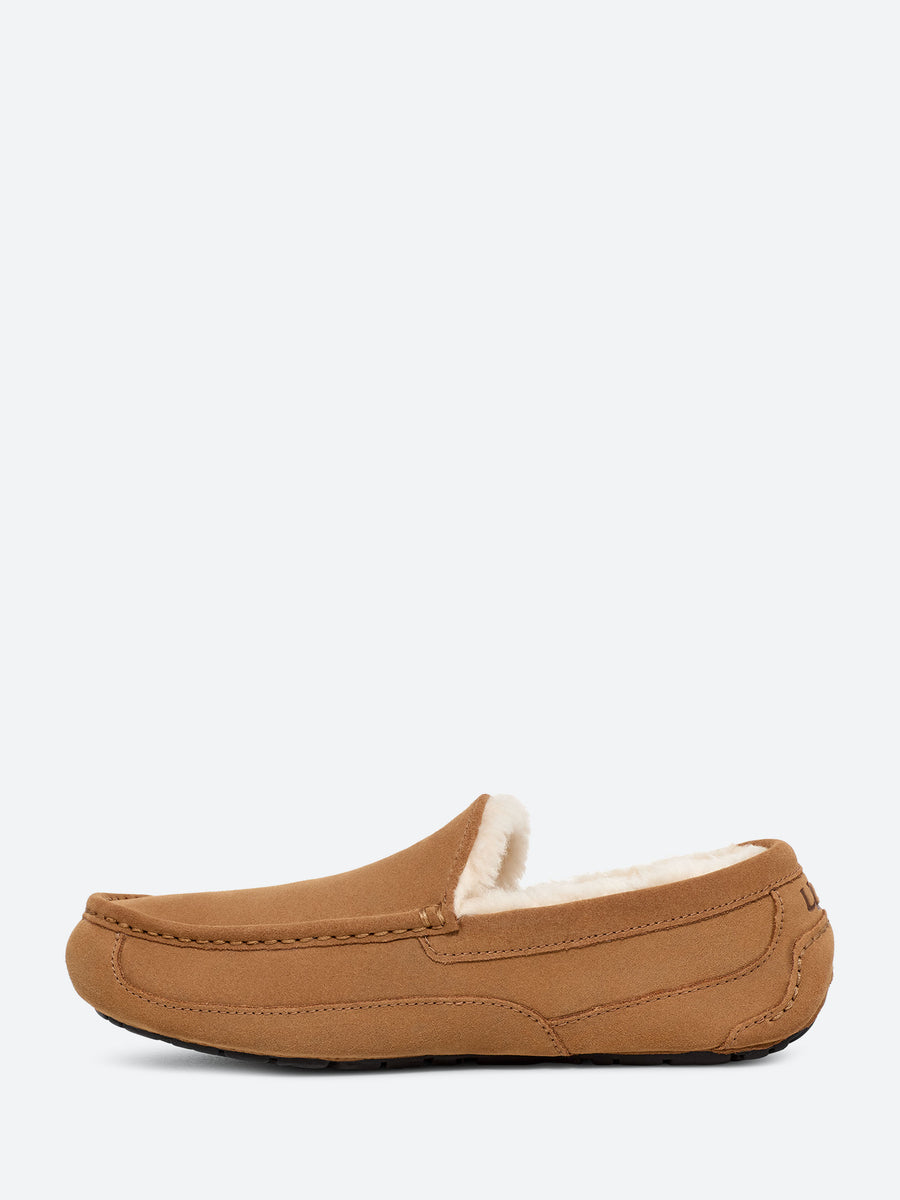 Ugg Ascot Slipper in Chestnut gravitypope