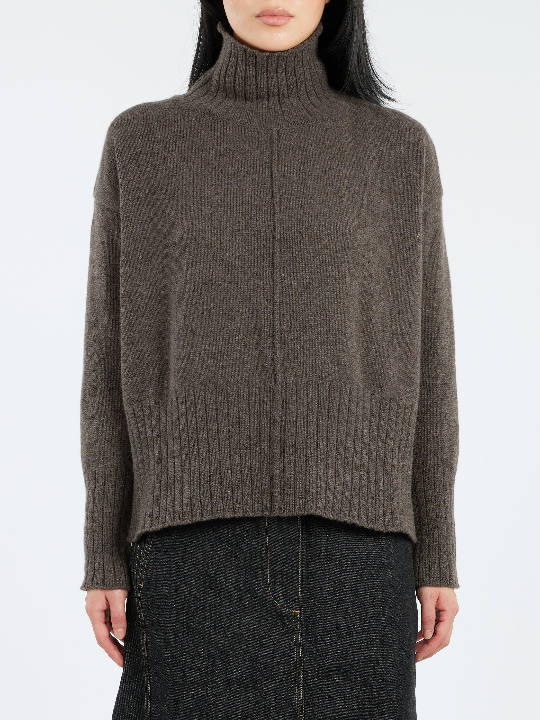 2403 Cashmere Blend Turtleneck