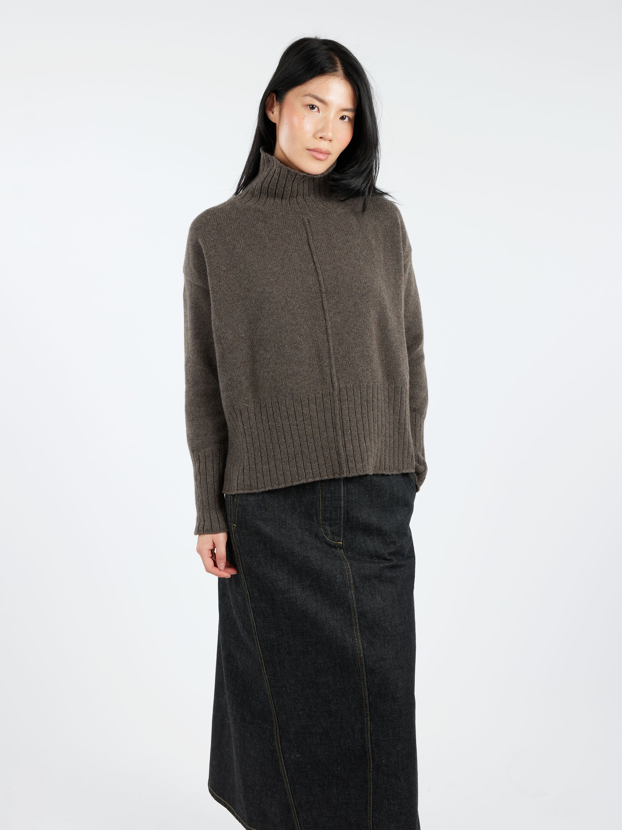 2403 Cashmere Blend Turtleneck