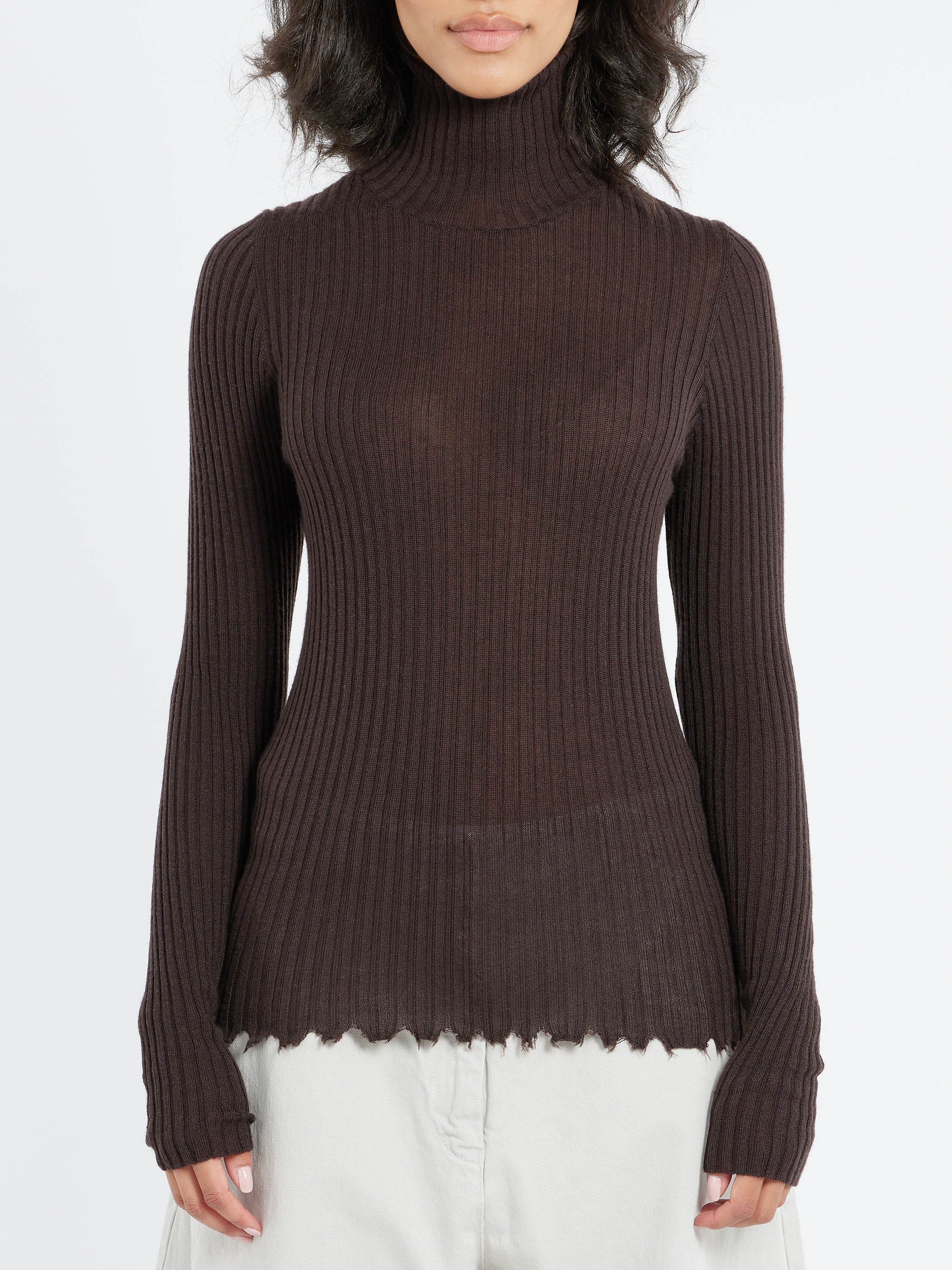 2450 Cashmere Turtleneck