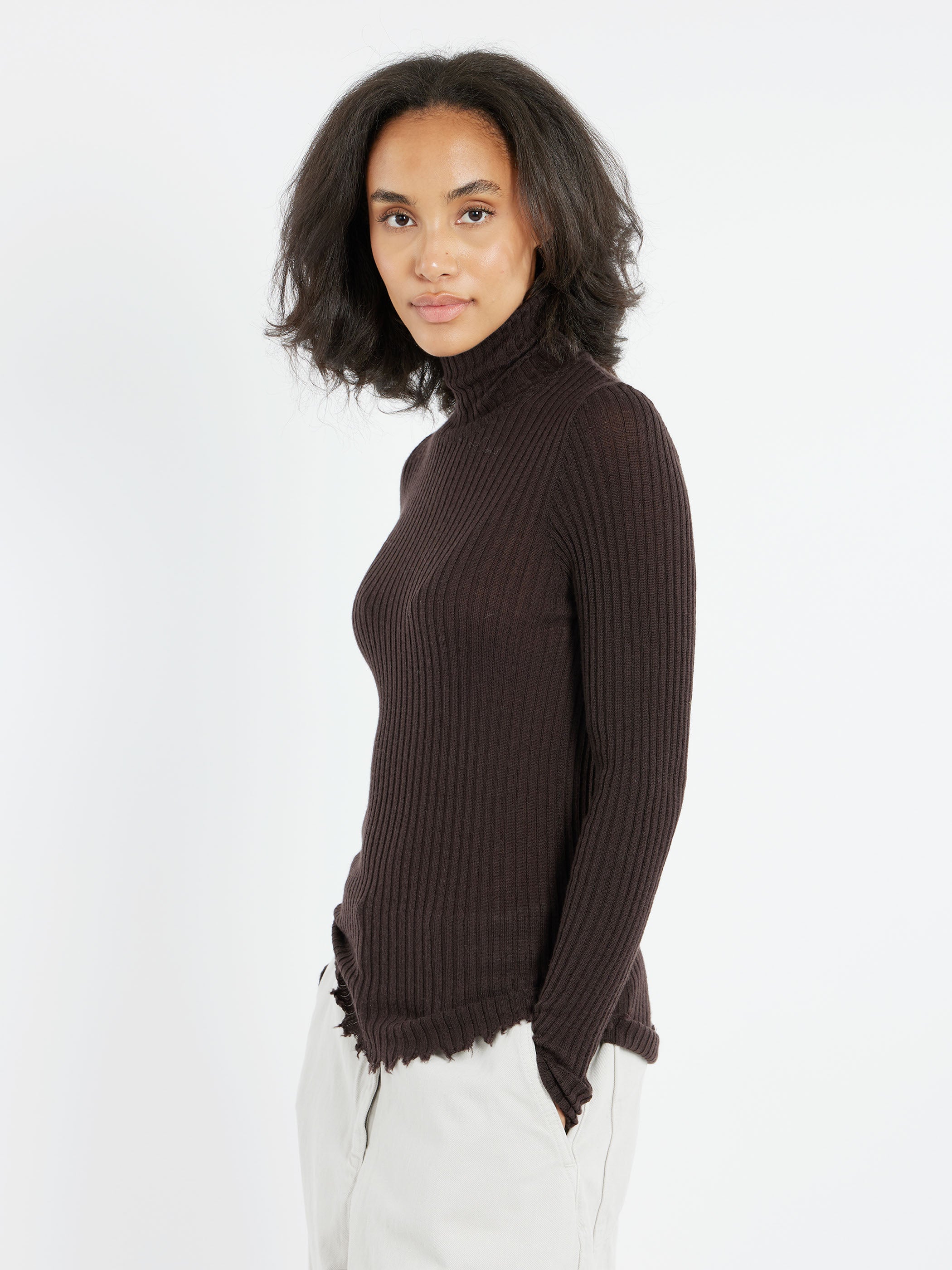 2450 Cashmere Turtleneck