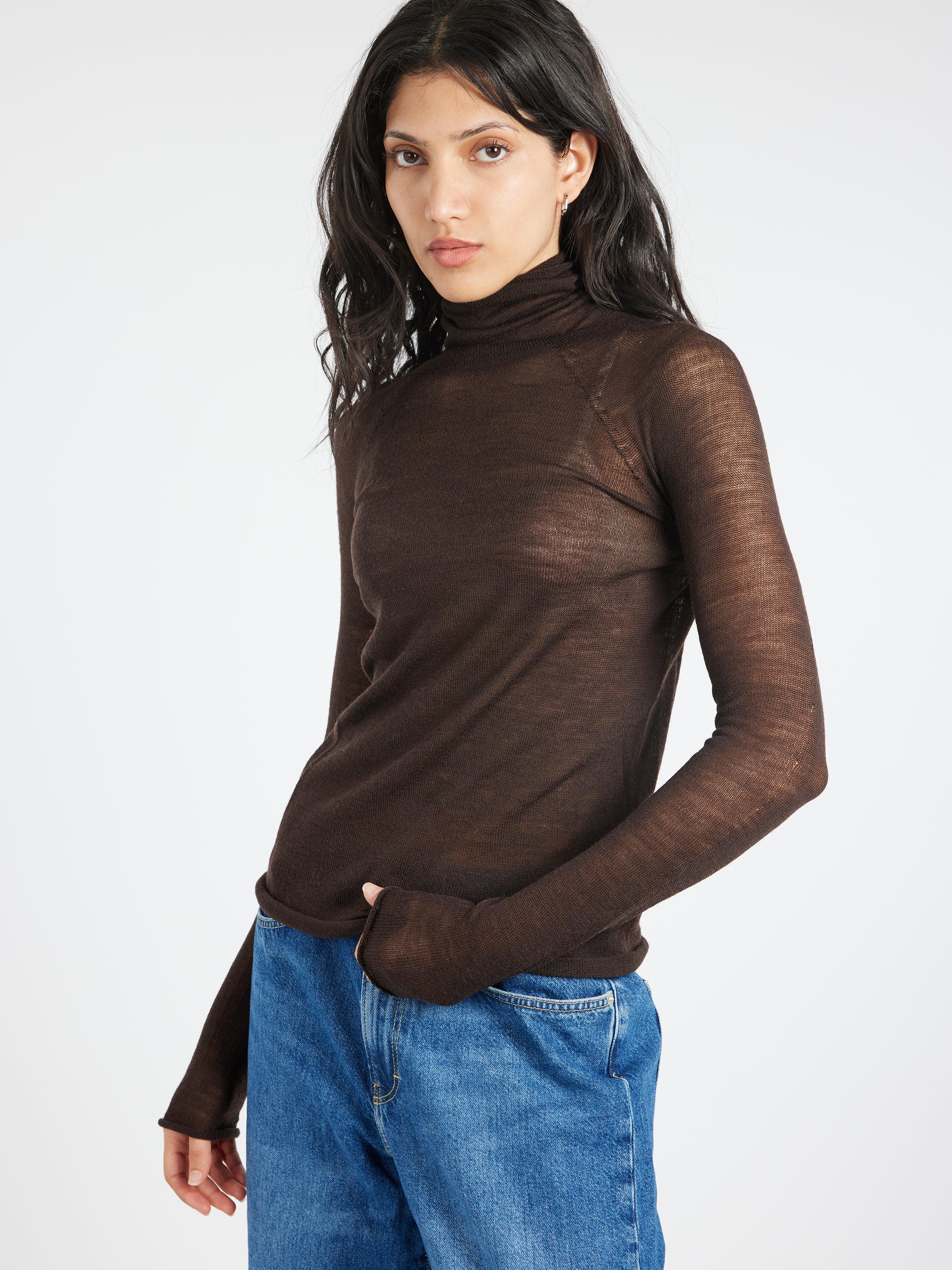 Semi Sheer Turtleneck