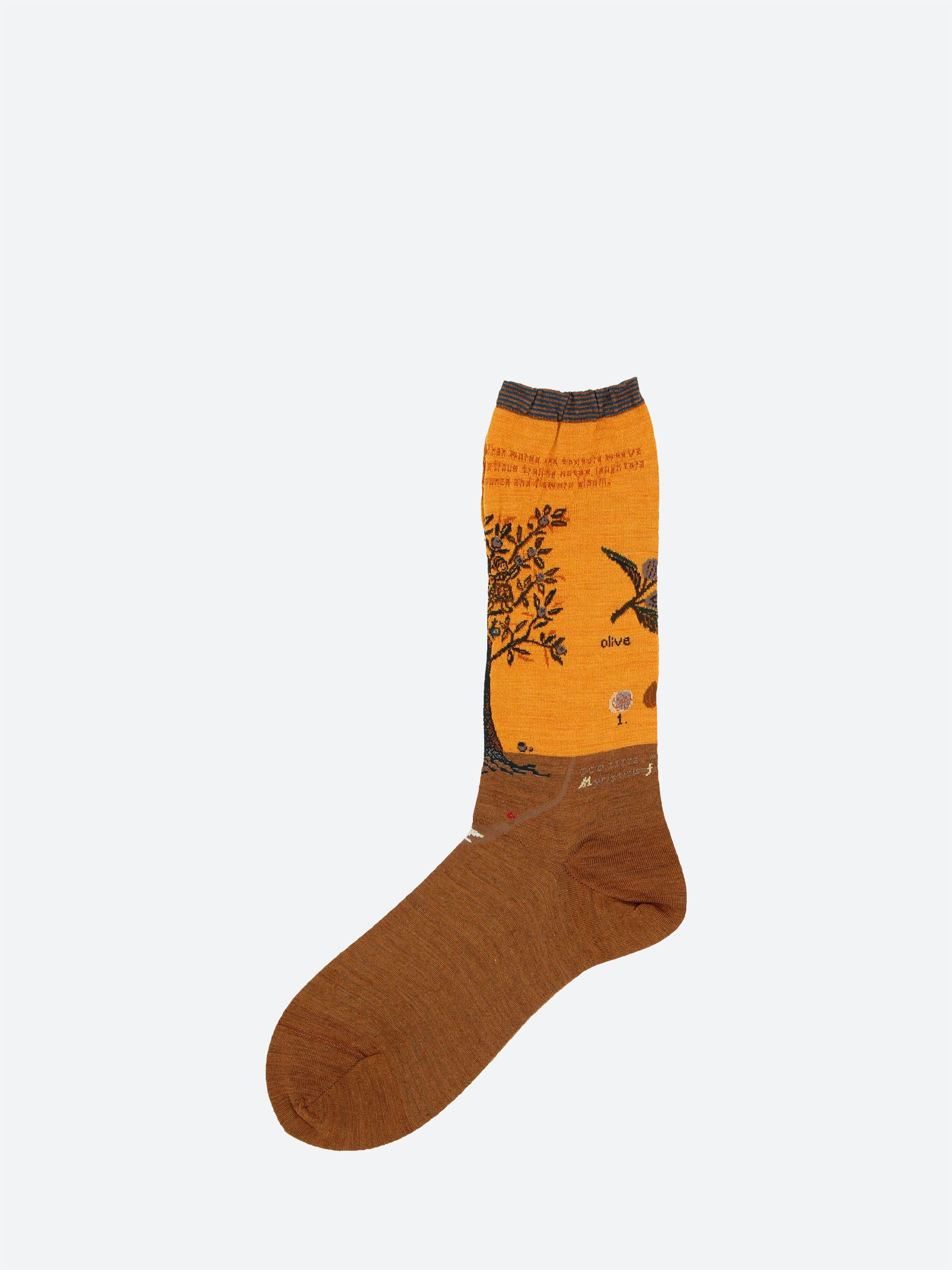 Olive Harvest Crew Sock