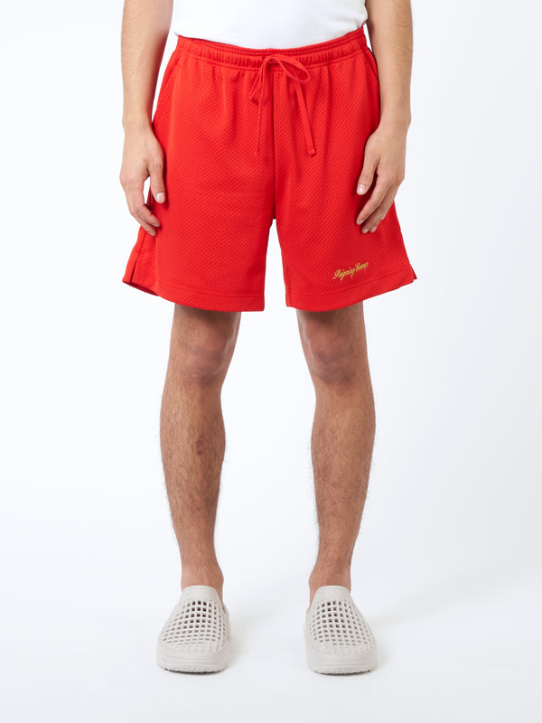 Reigning champ hot sale shorts